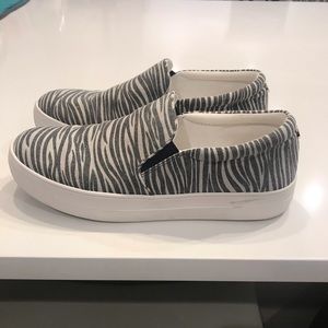 Zebra print Steve Madden Sneakers